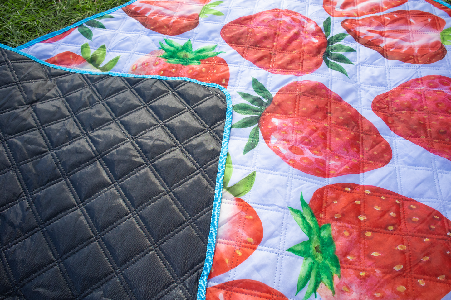 🍓 Strawberry Picnic Mat