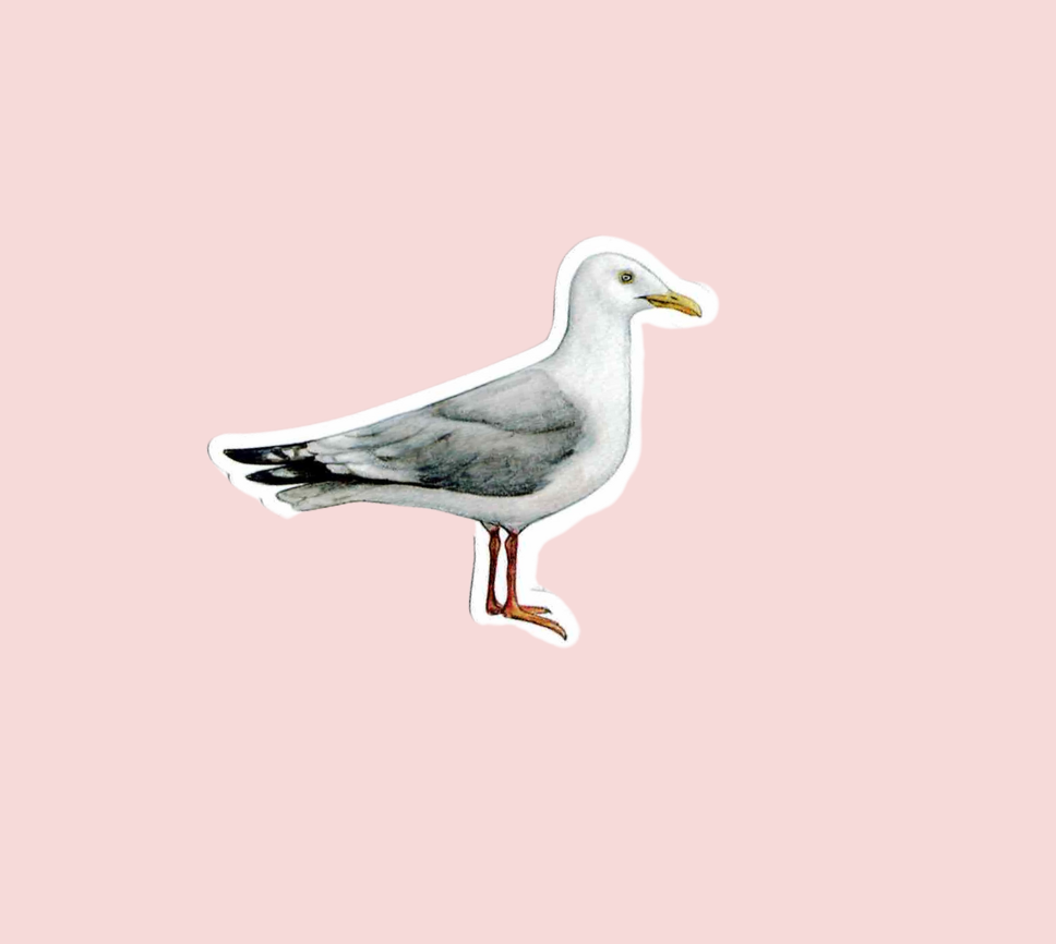 Seagull Vinyl Sticker (pairs perfectly with our Chips Sticker)