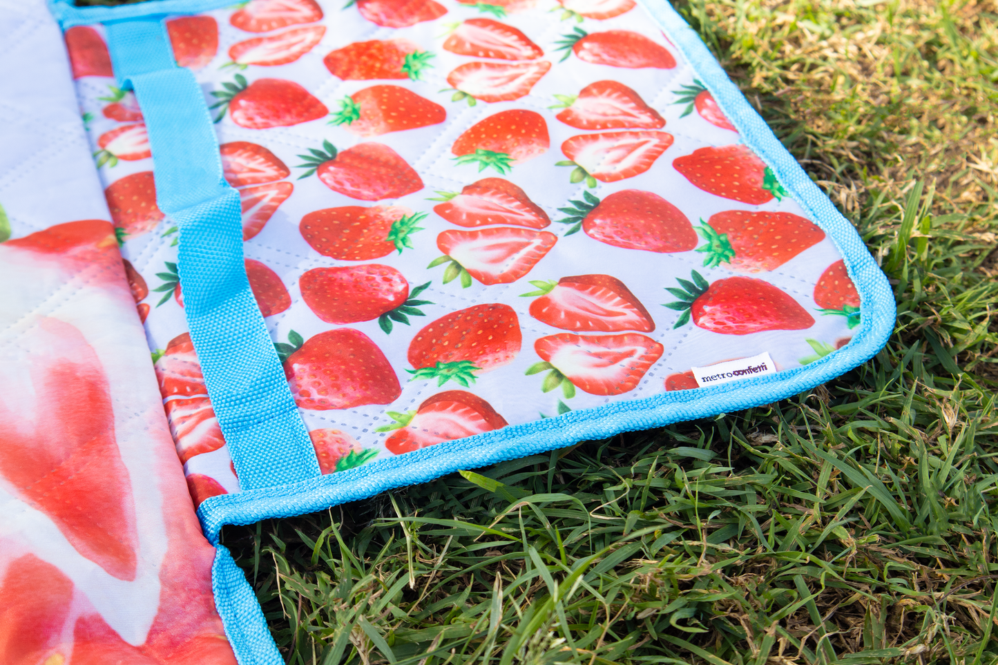 🍓 Strawberry Picnic Mat