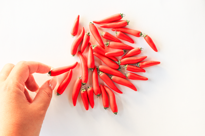 CHILLI EARRINGS - POPULAR
